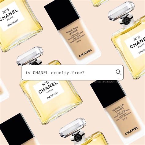 are chanel perfumes cruelty free|is chanel ethical.